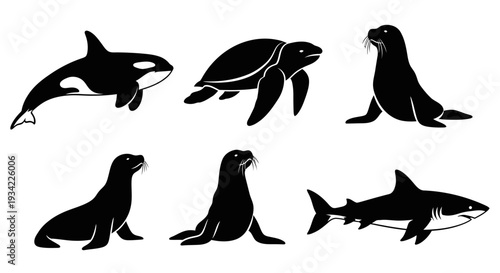 Marine Animals Silhouettes Set: Orca, Sea Turtle, Sea Lions, and Shark Icons