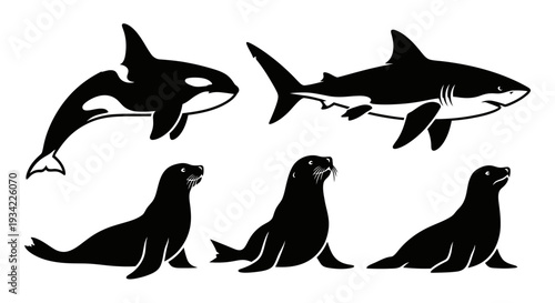 Marine animals silhouettes set: orca, shark, and seals, isolated on white background