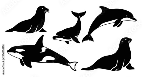 Marine Mammals Silhouettes Set: Dolphin, Orca, and Seals Vector Illustration