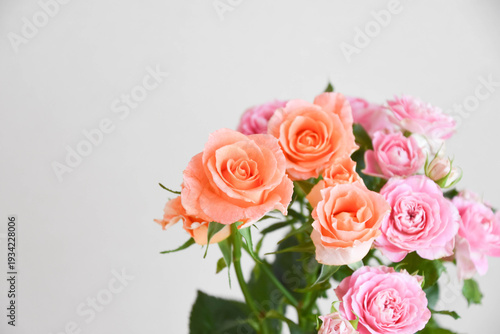 オレンジとピンクのばら