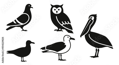 Set of various bird silhouettes: pigeon, owl, pelican, seagull, and duck icons