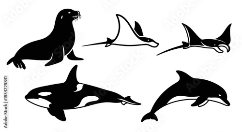 Set of Marine Animal Silhouettes: Seal, Manta Ray, Orca, and Dolphin Icons