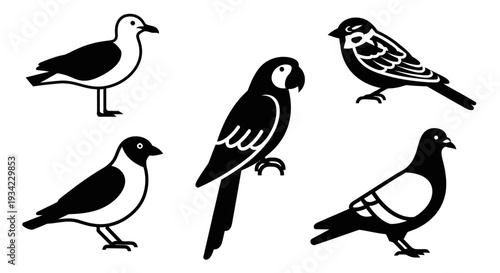Various bird silhouettes set: seagull, sparrow, parrot, crow, pigeon icons
