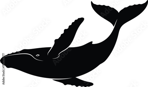 Black and white whale vector illustration