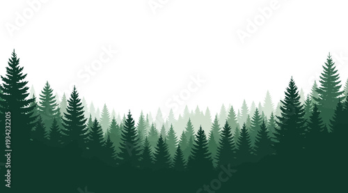 Illustration of a gradient forest landscape with various pine trees on white background