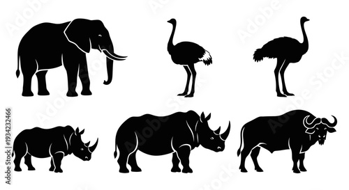 African Safari Animals Silhouettes Set: Elephant, Ostrich, Rhino, Buffalo Icons