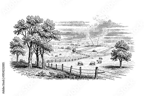 Detailed black and white landscape with trees and cows in a pastoral setting
