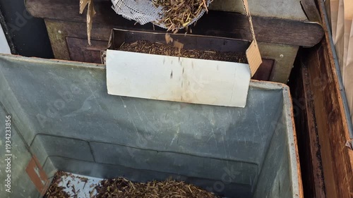 Hojicha roaster machine roasting green tea leaf Japanese drink