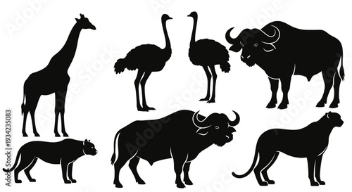 African Wildlife Silhouettes Collection: Giraffe, Ostrich, Buffalo, and Big Cats