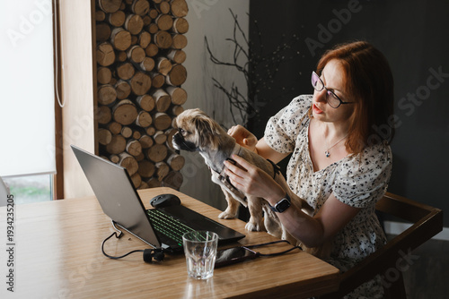 Concerned pet owner showing her small dog to a veterinarian during a remote video call. Concept for animal telemedicine, virtual pet healthcare, and online vet services.