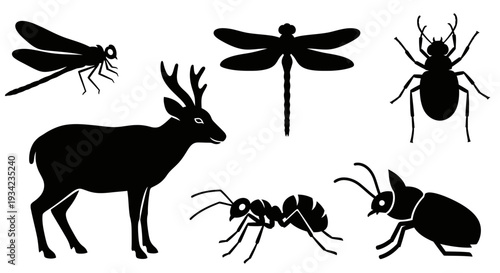 Animal and Insect Silhouettes Set: Deer, Dragonfly, Ant, Beetle Collection