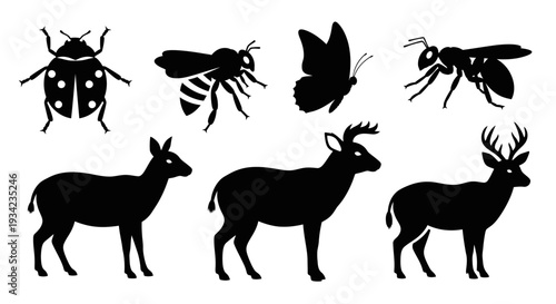 Animal Silhouettes Collection: Insects and Deer Wildlife Vector Icons