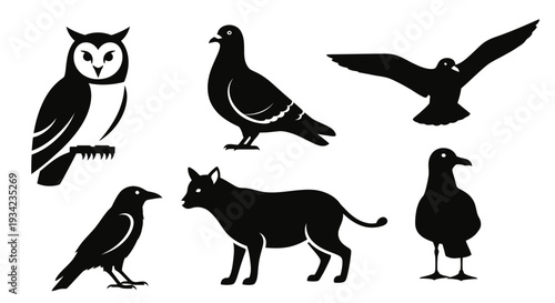 Animal Silhouettes Set: Owl, Pigeon, Crow, Cat, and Flying Birds Vector Icons