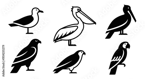 Bird Icons Set: Diverse Avian Silhouettes Including Seagull, Pelican, Hawk, and Parrot