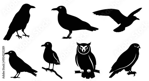 Bird Silhouettes Collection: Crow, Owl, and Flying Birds
