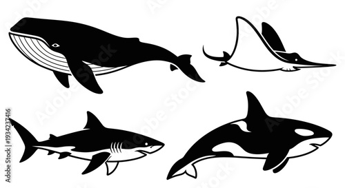 Black and white marine animals silhouettes set: whale, shark, orca, and manta ray