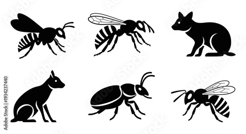 Black Silhouette Collection of Various Animals and Insects on White Background