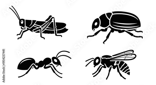 Black Silhouette Icons of Various Insects: Grasshopper, Beetle, Ant, Wasp