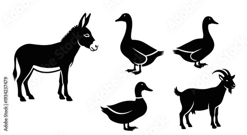 Black Silhouettes of Farm Animals: Donkey, Geese, Ducks, and Goat on White Background