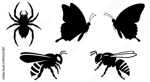 Black Silhouettes of Spider, Butterflies, and Bees Collection