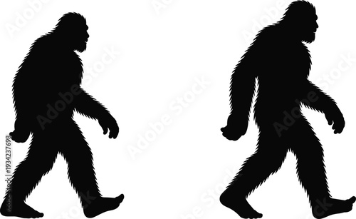 Bigfoot Sasquatch silhouette illustration featuring mythical humanoid cryptid in walking poses, ideal for folklore, mythology, cryptozoology