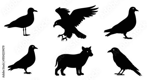 Diverse Animal and Bird Silhouettes Collection on White Background