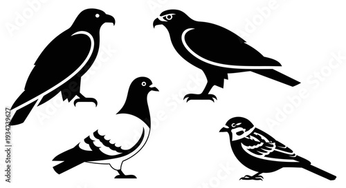 Diverse Bird Silhouettes Set: Eagle, Hawk, Pigeon, and Sparrow Graphic Icons