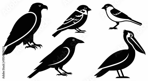 Diverse bird silhouettes collection, black vector illustrations of various avian species