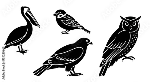 Diverse Bird Silhouettes Set: Pelican, Sparrow, Hawk, and Owl Wildlife Graphics