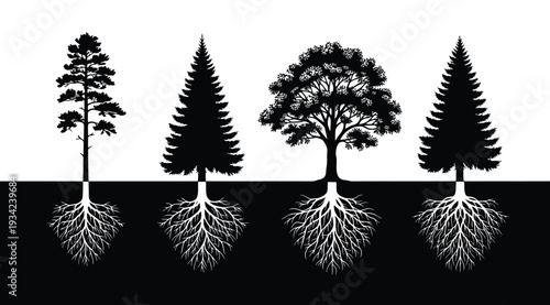 Four different tree silhouettes with roots on white background showing various root systems