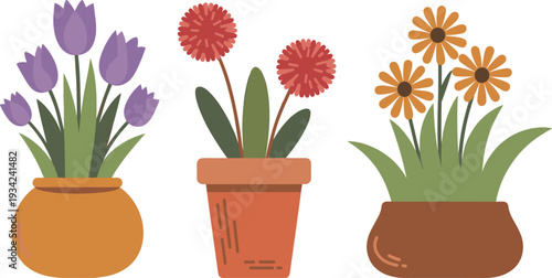 Colorful spring flower pot collection vector illustration set with tulip, daisy and garden blossom for decoration