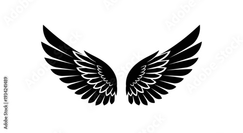Majestic Black Wings Spread Wide Open on White Background.