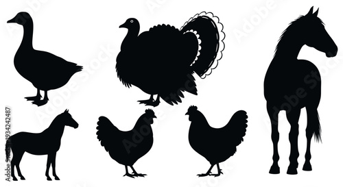 Farm Animals Silhouettes Collection: Goose, Turkey, Chicken, and Horses on White Background