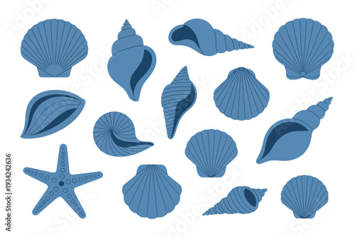 Sea shell, vector illustrations including conch, scallop, spiral, and clam shells, tropical and marine decorative elements for beach, summer, and ocean designs isolated on white background