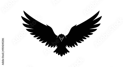 Majestic Raven Silhouette with Open Wings on White Background.