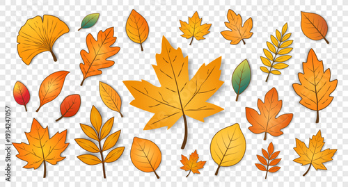 Autumn gold, red and orange leaves highlighted on a transparent background. Seasonal elements for the design. Hello autumn. Vector EPS 10.