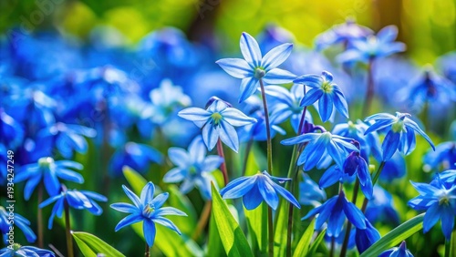 Vibrant Blue Spring Flowers Blooming in Sunlight, a Delicate and Colorful Floral Display in a Lush Garden Setting