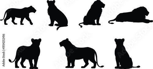 Black lion silhouettes in multiple poses, artistic vector illustration highlighting mane, sitting, walking, standing, and profile views, symbolizing wildlife strength, nobility, courage,