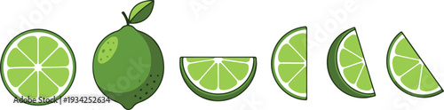Vibrant green lime slices and whole lime with leaf on white background, fresh citrus fruit illustration