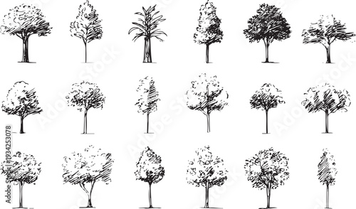 Collection of hand drawn black and white trees nature