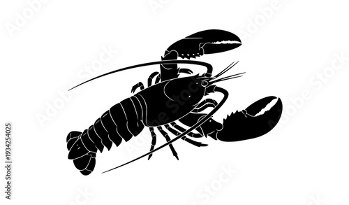 Continuous One-Line Lobster Crayfish Vector Illustration Editable Outline Marine Animal Isolated on White
