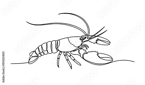 Hand Drawn Continuous Line Lobster Crayfish Vector Engraving Marine Animal Editable Outline Isolated on White