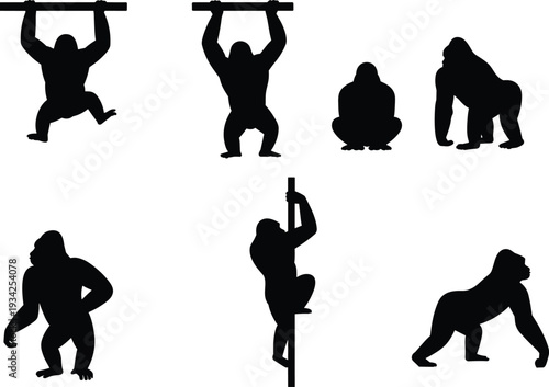 Black gorilla silhouette illustration featuring multiple poses including climbing, walking, sitting, hanging, and standing, primate wildlife artwork for jungle nature