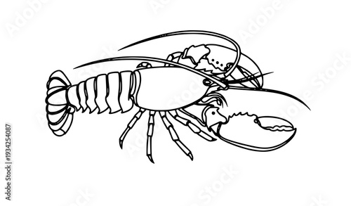 Red Crayfish One-Line Vector Poster Banner Shop Sign Minimalist Illustration on White Background