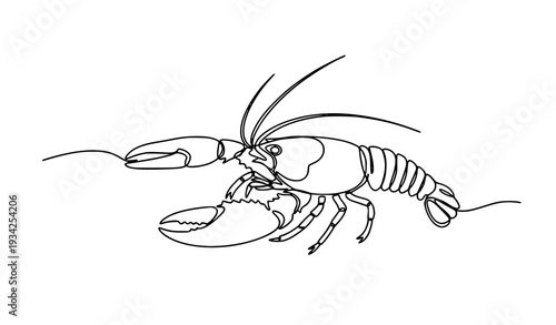 Artistic Continuous Line Lobster Crayfish Vector Marine Animal One Stroke Outline on White