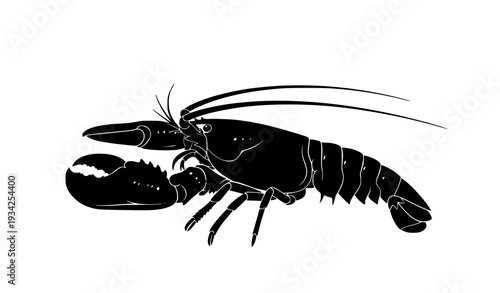 Angled Black Lobster Silhouette Vector Illustration Claws Tail Antennae Isolated on White