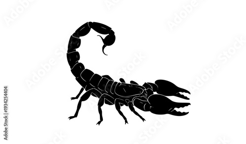 Dynamic Black Scorpion Silhouette Vector Arachnid Illustration Isolated on White Background