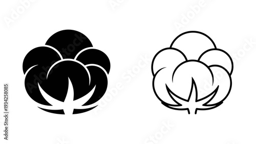 A fluffy cotton boll, representing natural materials, organic textiles, and sustainable product sourcing.