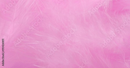 Macro Pink Feather Texture Background. Close-up abstract video showcasing delicate, fluffy pink feathers with soft textures and subtle drifting motion in a pastel-filled frame.
