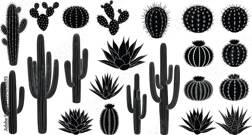 Cactus and succulent silhouettes collection with desert plants, agave and saguaro isolated on white background botanical vector set